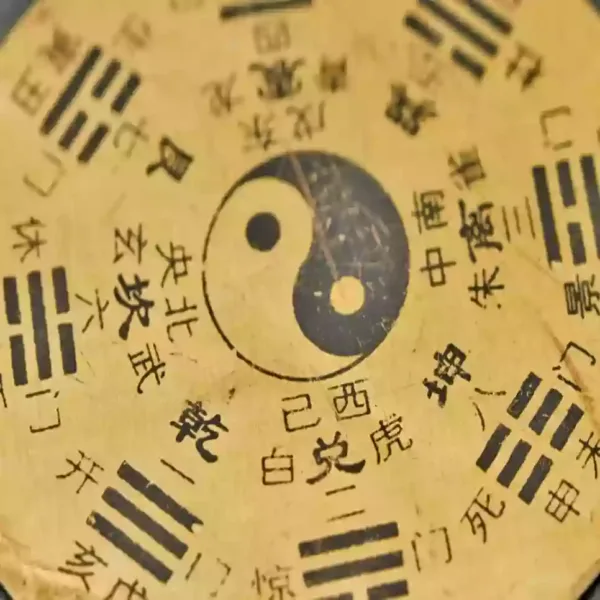 Initiation à la médecine traditionnelle chinoise