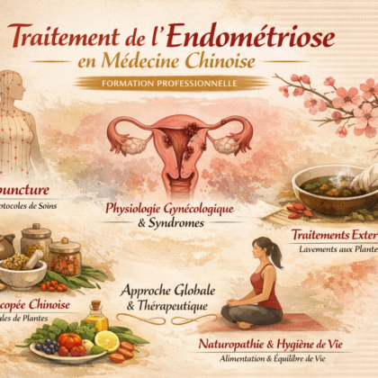 Traitement de l’endométriose en Médecine Chinoise