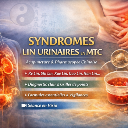 Syndromes Lin urinaires et maladies urologiques en MTC